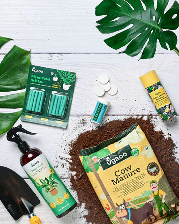 simply dummy text of the printing